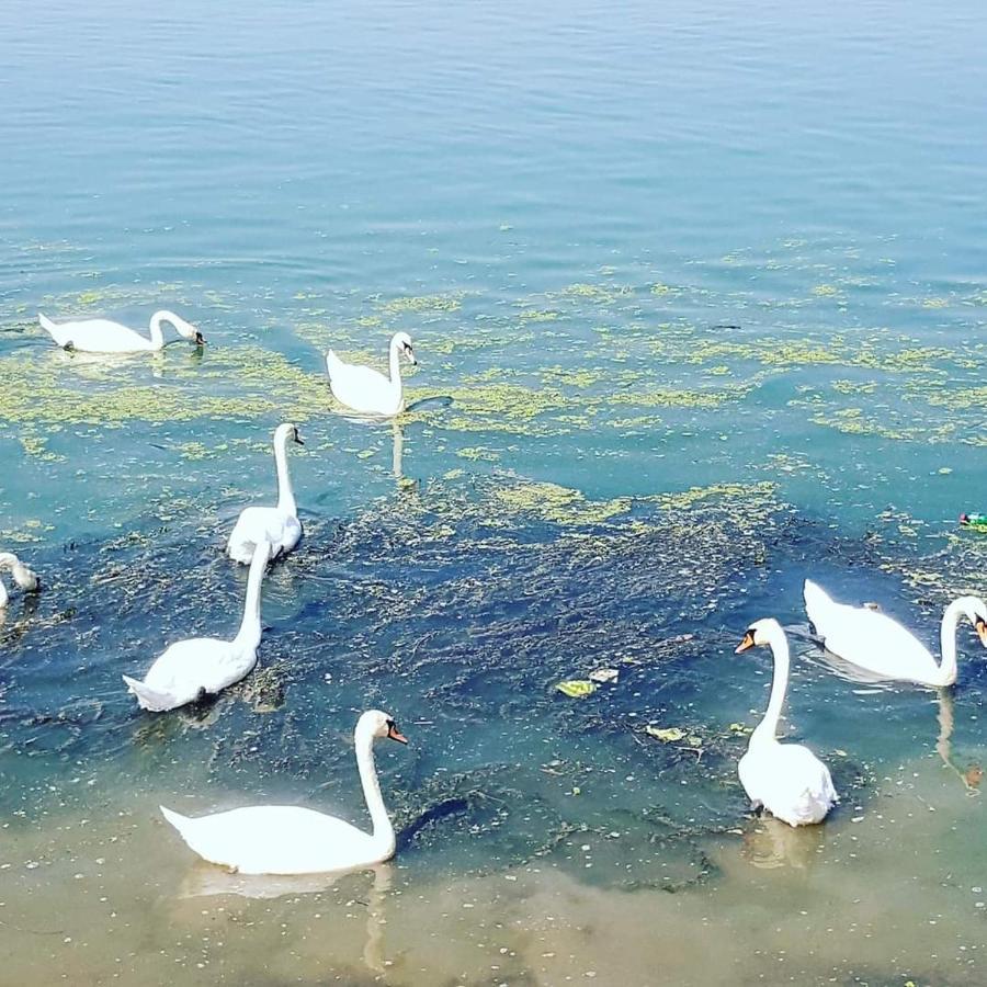 San Na Vodi Villa Smederevo Buitenkant foto