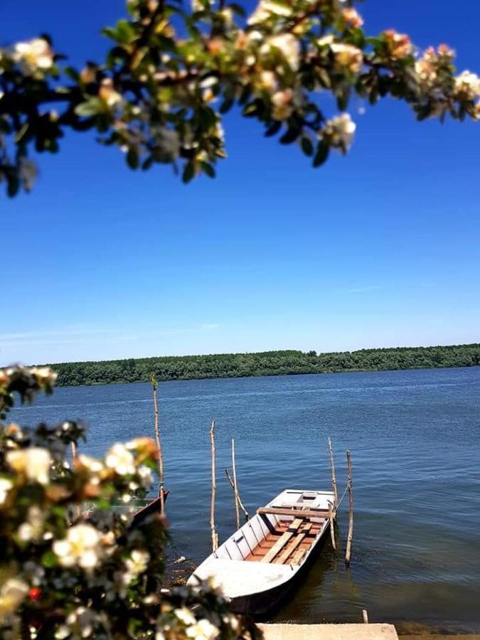 San Na Vodi Villa Smederevo Buitenkant foto