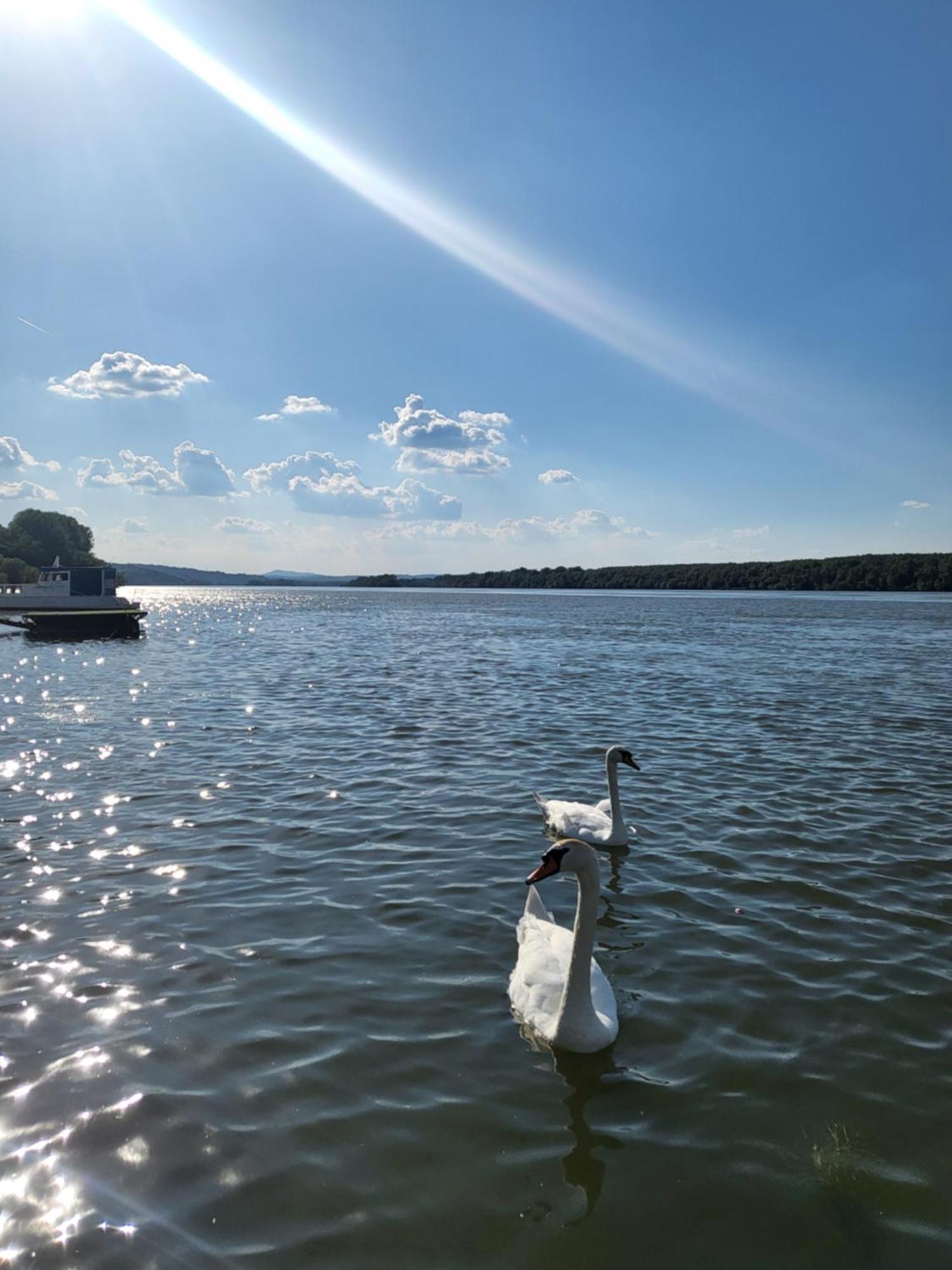 San Na Vodi Villa Smederevo Buitenkant foto